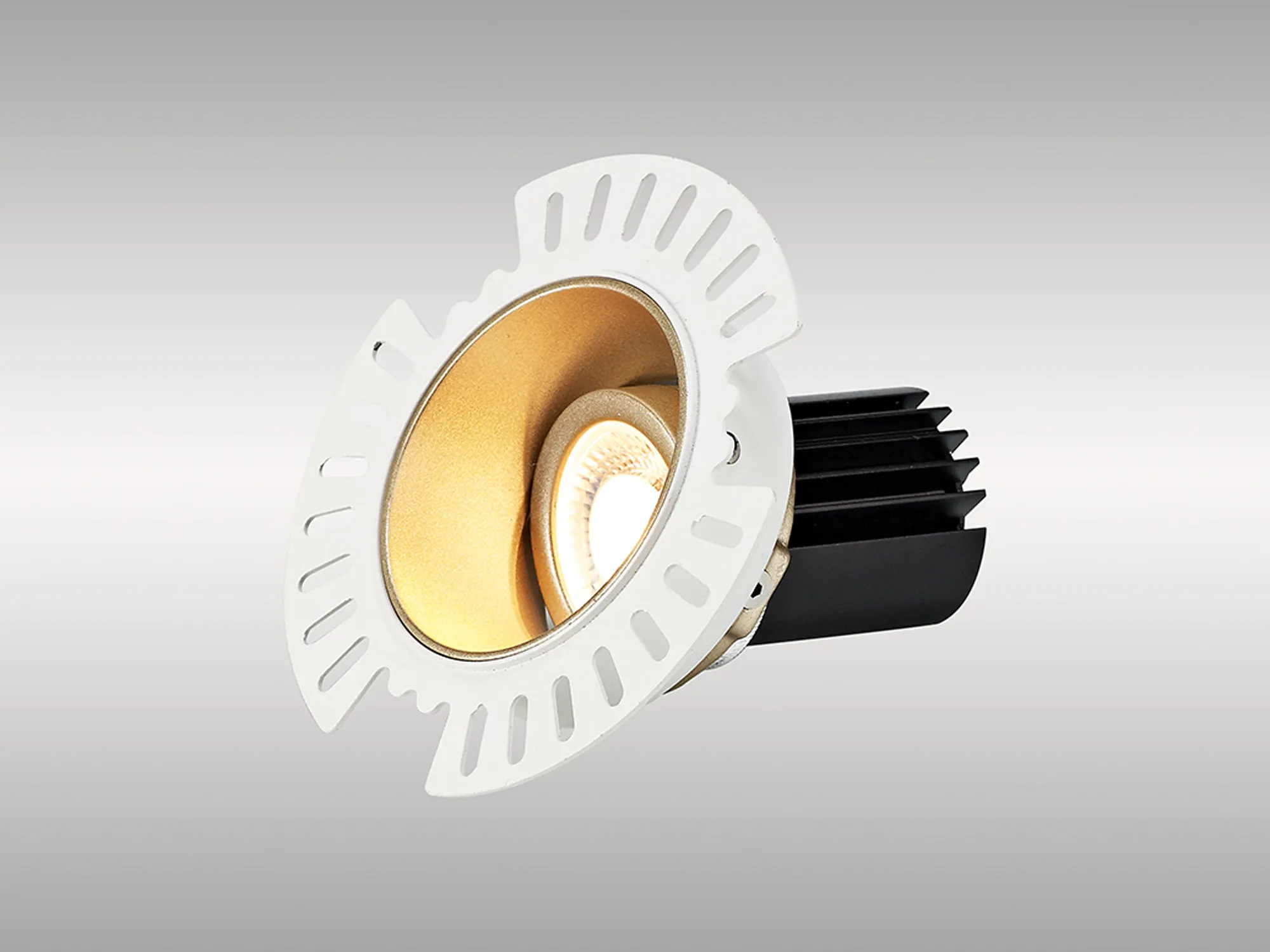 Basy A 12 Tridonic Powered 12W 2700K 1200lm 36° CRI>90 LED Engine Gold Adjustable Recessed Spotlight, IP20 DM201879  Dlux Basy A 12